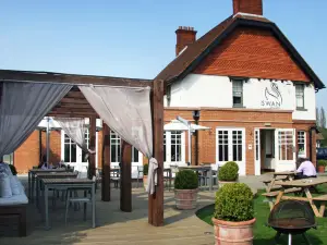 The Swan