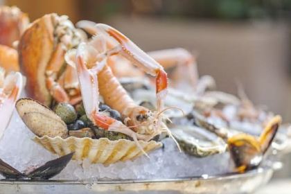 L'Ecaille de la Mascotte