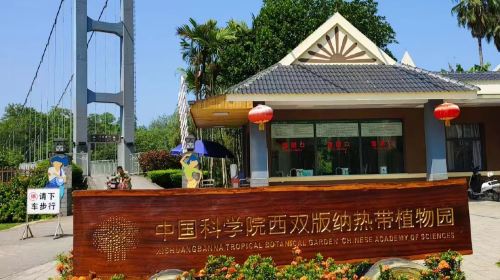 中國科學院西雙版納熱帶植物園-藤本園站