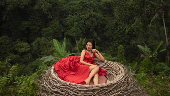 1-day tour to Ubud Jungle Swing and forest waterfall in Bali