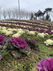 Zhongping Mountain Flower Valley