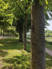 Parc de la Hotoie