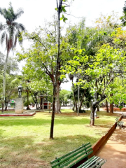 Praça Visconde do Rio Preto - Jardim de Cima