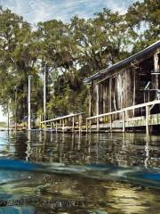 Diver's Destination of Louisiana