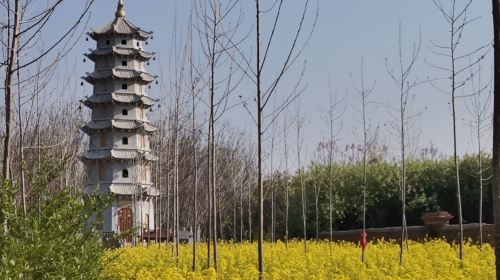 Yanlingxian Huanglong Temple