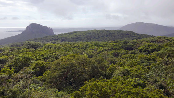 Pingtung