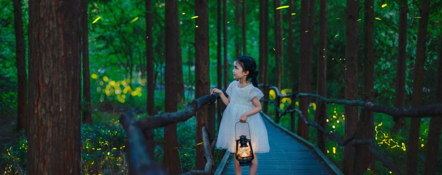 Moganshan Yunqi Firefly Forest (Firefly Base)