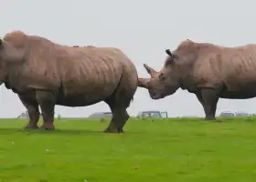 Whipsnade Zoo