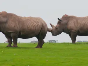 Whipsnade Zoo