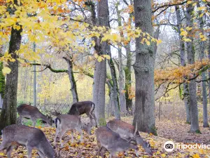 Elistvere Animal Park