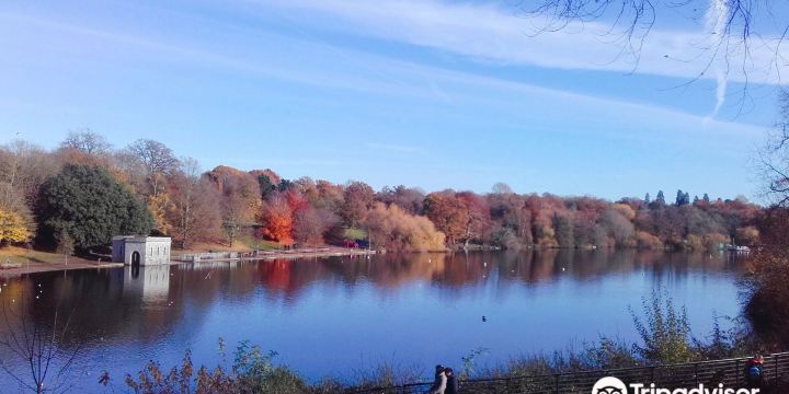 Mote Park