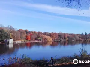 Mote Park