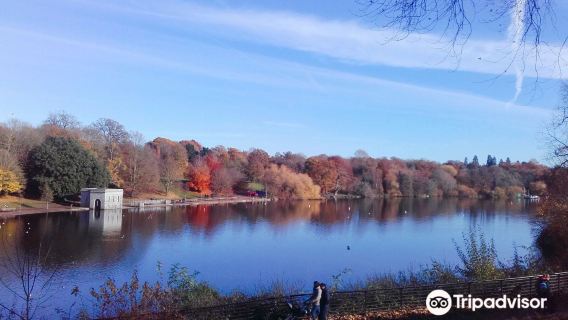 Mote Park