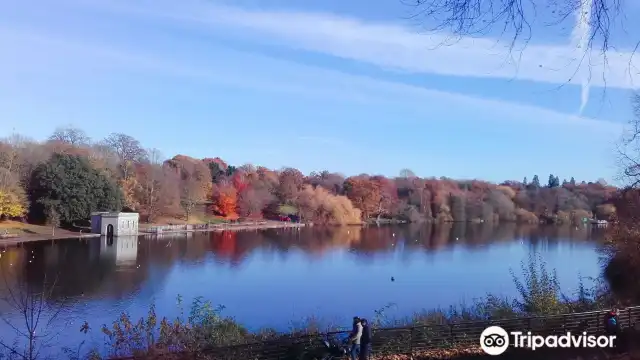 Hotels near Mote Park