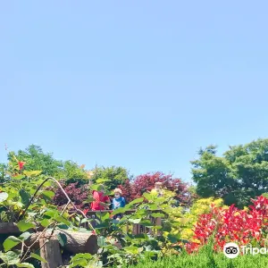 청산수목원