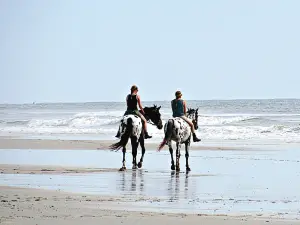 Parc d'État d'Amelia Island