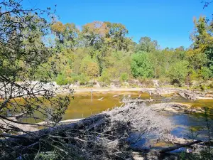 迪索托國家森林公園