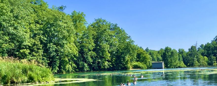 Lake Nitanee