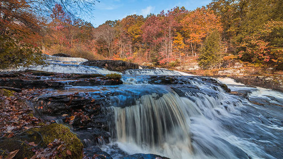 Dingman Township