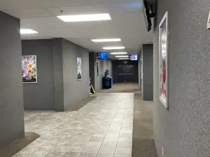 Elkins Cinema 8
