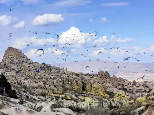 Pigeon Valley