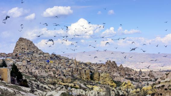 Pigeon Valley