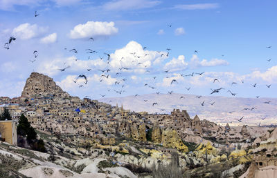 Pigeon Valley