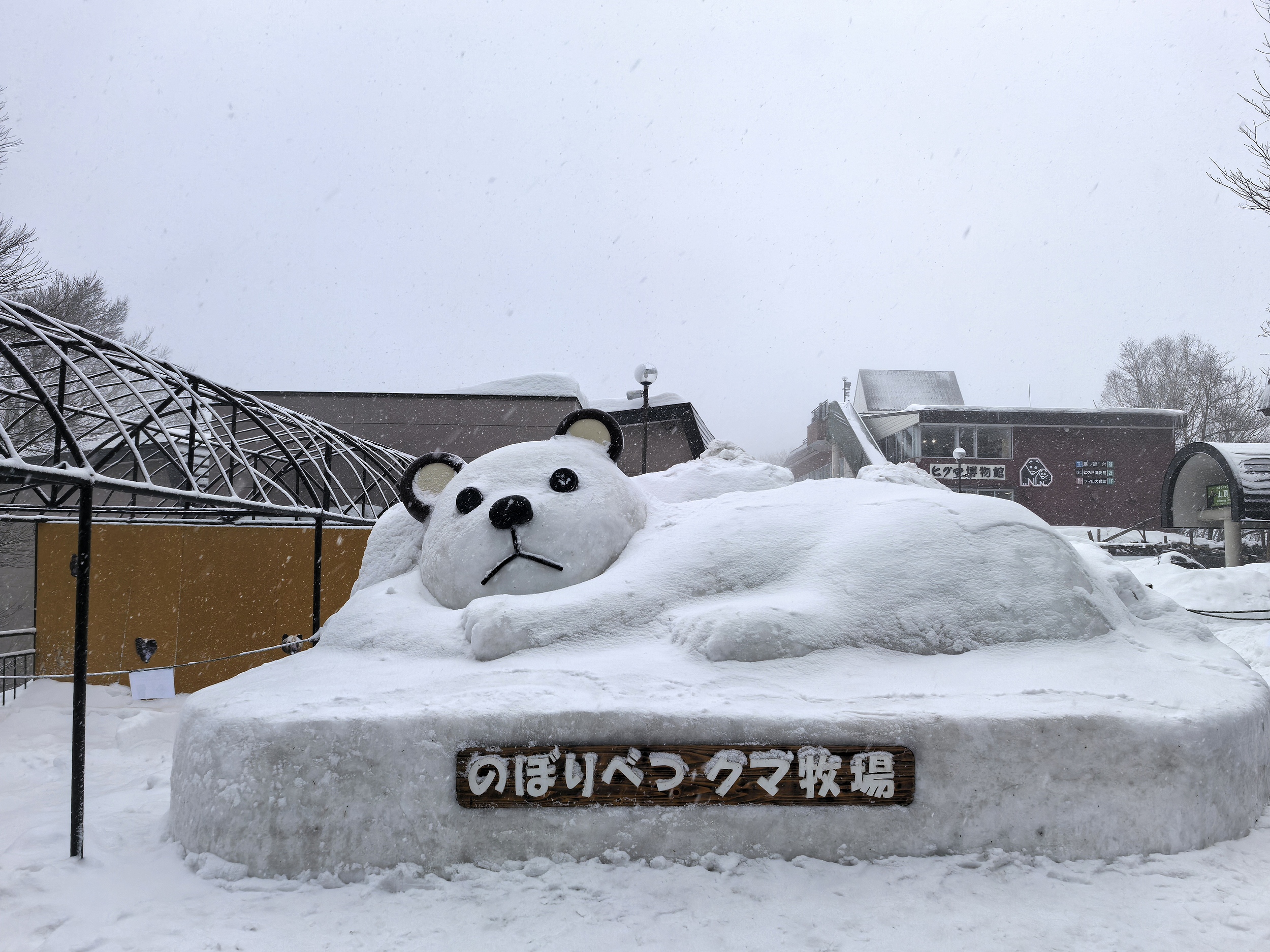 北海道 のぼりべつクマ牧場 入場チケット（ケーブルカー含む）予約（即日発券）