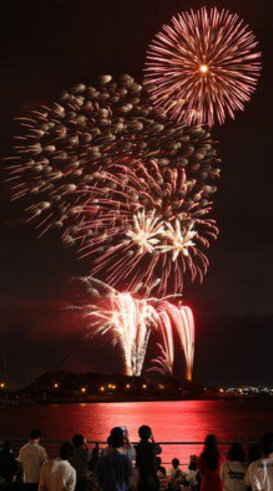 Hakodate Port Festival Fireworks Display | 하코다테