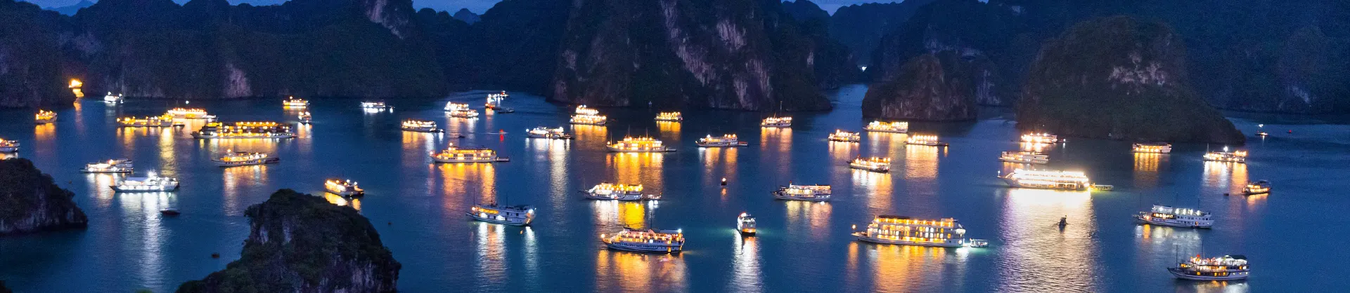 Night Attractions