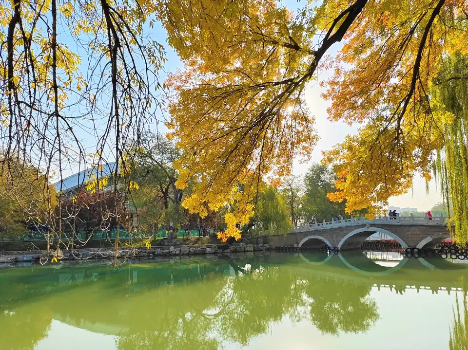 5_Longtan Park
