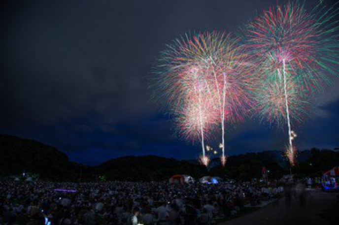 盛岡敦波花火大會 | 盛岡