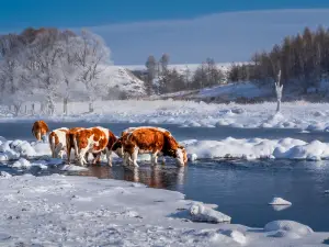 Ice-free River