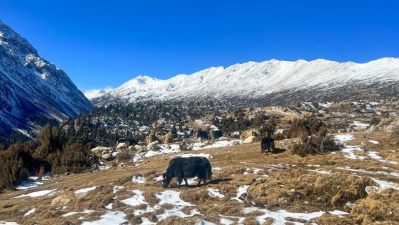 Bāduī Village