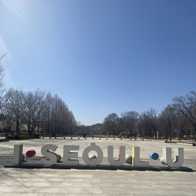 벚꽃맛집 서울숲