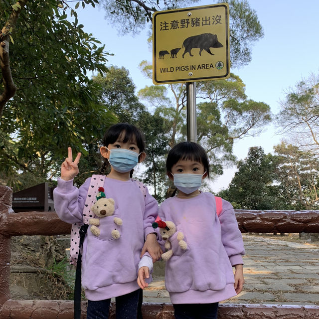 彤彤昕昕第二次行山挑戰成功