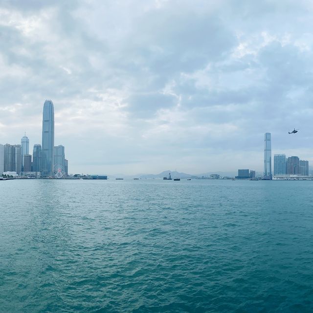 極大草地！