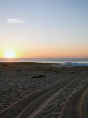 Cardiff State Beach