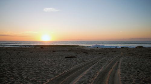 Cardiff State Beach