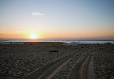 Cardiff State Beach