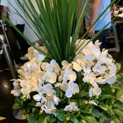 波羅蜜多·自助餐廳張用戶圖片