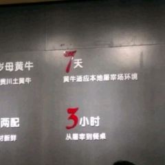 Shanjinjichaoshan Beef Hot Pot (qinlinglu) User Photo