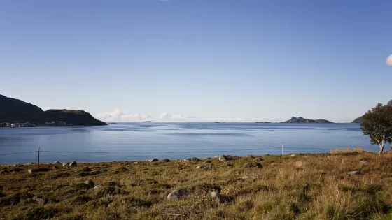 碧流河水庫風景區