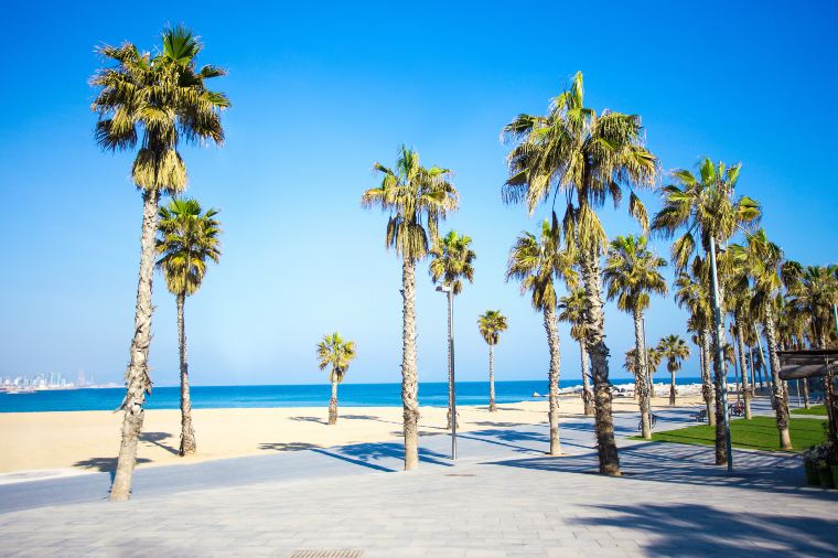 Perfect weather at Barceloneta Beach in Barcelona