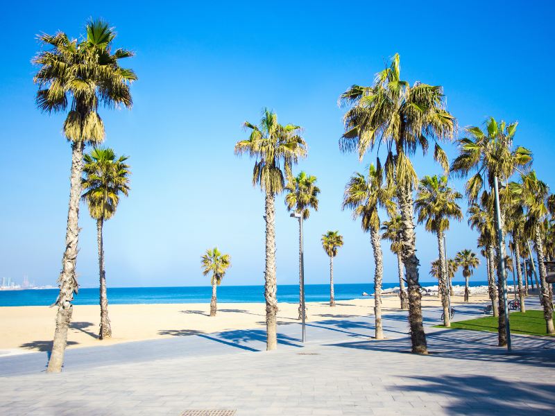 Barceloneta Beach