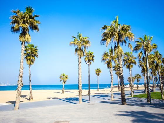 Barceloneta Beach