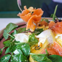 Avocado Fruit Lounge Cafe User Photo