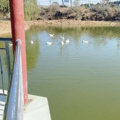 HUI DOU YUAN User Photo