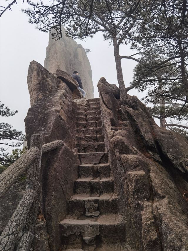 비래석