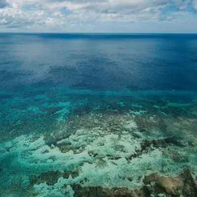 Cairns to Sydney Flights